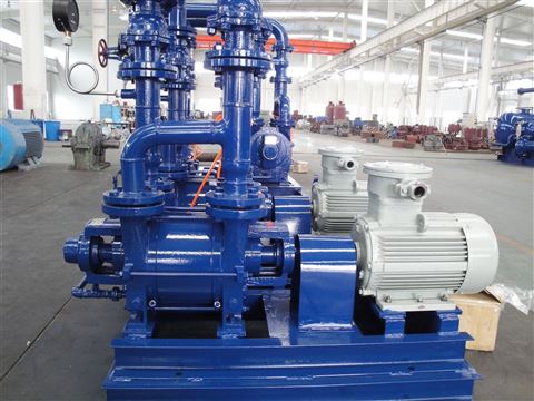 2BE3液環(huán)真空泵及壓縮機 沃爾姆國產品牌的卓越選擇