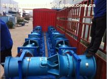 天津中藍泵業(yè)QH系列防洪排澇潛水泵 專業(yè)設備，高效排澇